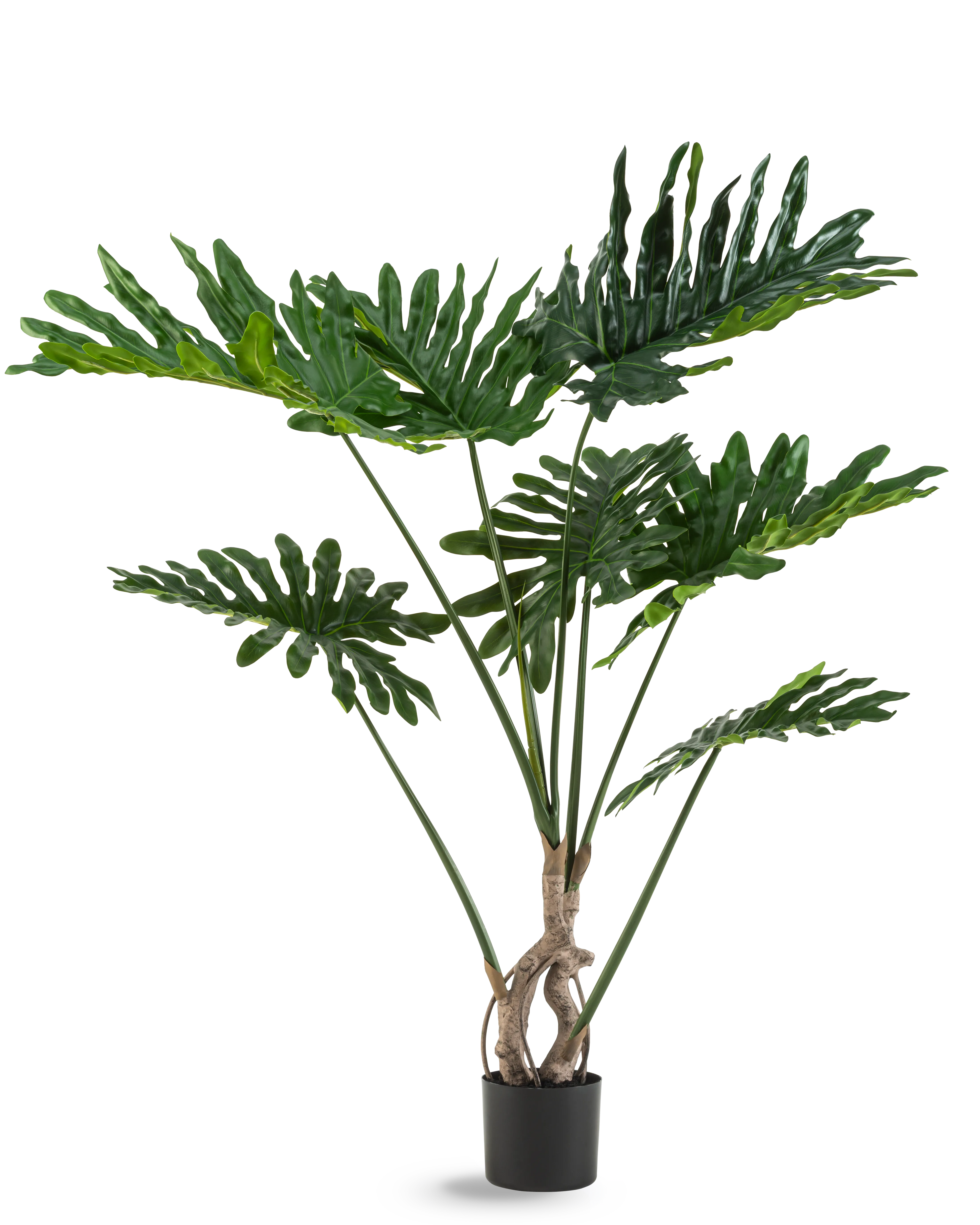 Kunst Monstera & Philo